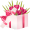 Otvárací box 