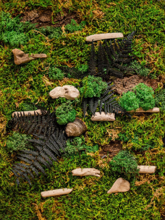 Machový obraz Forest walk II