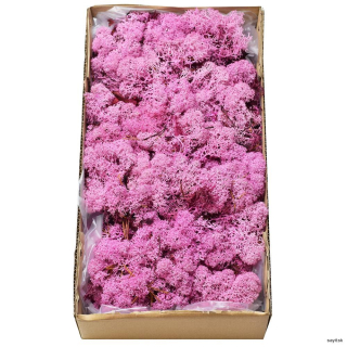 Mach preparovaný lišajník 500g - Rose